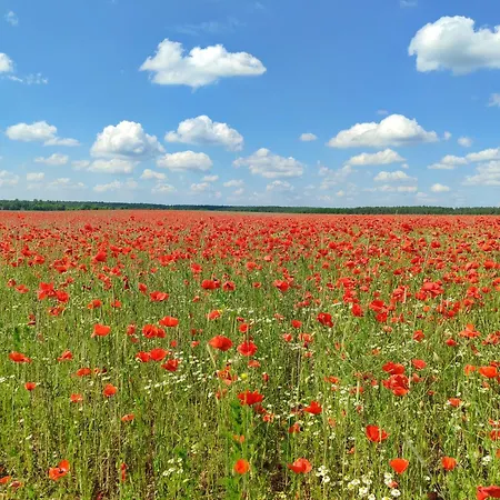 Modernes Fuer Bis Zu 10 Gaeste *