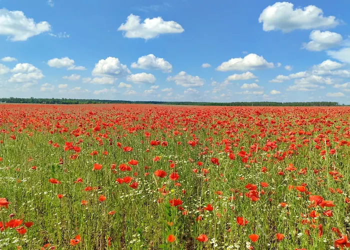 Modernes Fuer Bis Zu 10 Gaeste *